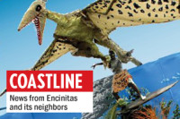 A page from the 2013 Cardiff Kook Calendar shows a papier mache pterodactyl grabbing onto the "Magic Carpet Ride" statue in Cardiff. (Photo courtesy of Fred Caldwell)