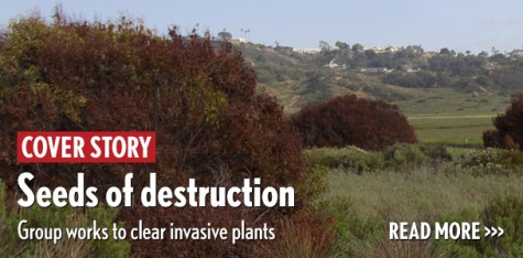 Seeds of destruction: Group works to clear invasive plants