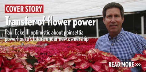 Transfer of flower power: Paul Ecke III optimistic about poinsettia powerhouse’s future under new ownership