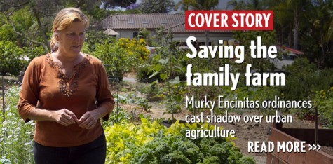 Saving the family farm: Murky Encinitas ordinances cast shadow over urban agriculture