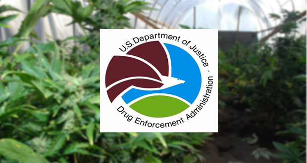 Narcotics+Task+Force+Announces+Marijuana+Seizures