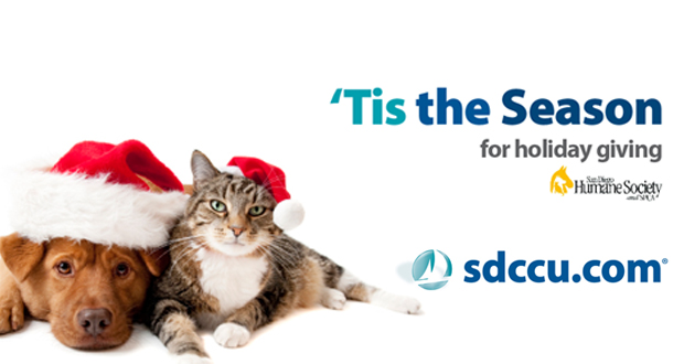 San+Diego+County+Credit+Union%E2%80%99s+%E2%80%98Presents+for+Paws%E2%80%99
