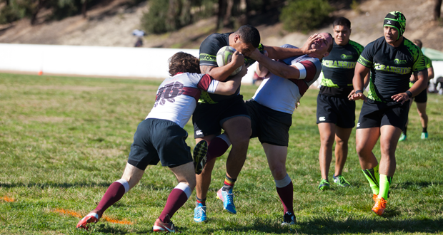 Furious Rally Falls Short for Oceanside Chiefs Rugby Club
