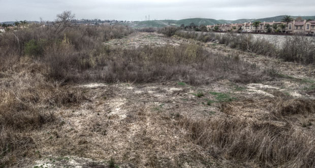 San Luis Rey River Cleanup March 7, 2015