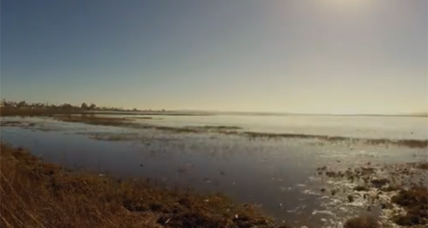 Time-Lapse+Video+Shows+How+Wetlands+Naturally+Buffer+King+Tides