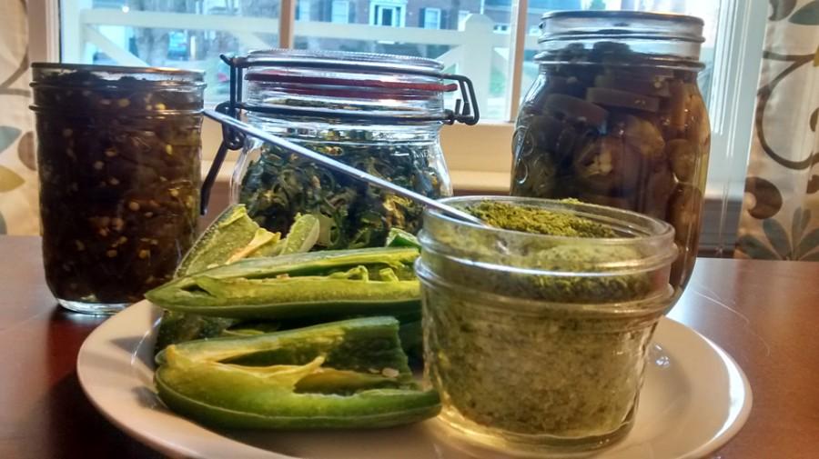 You+can+preserve+and+use+jalapeno+peppers+in+several+ways%2C+from+dried+and+powdered+to+candied.+%28Photo+by+Laura+Woolfrey-Macklem%29