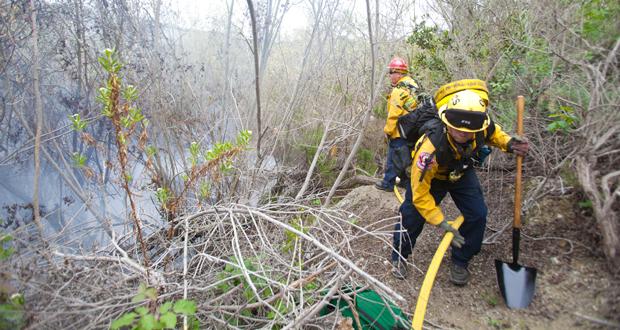 Firefighters Quickly Handle Two Vegetation Fires in Oceanside