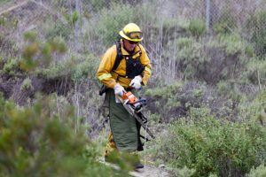 oceanside_fire_loretta_brush02_2015_osidenews