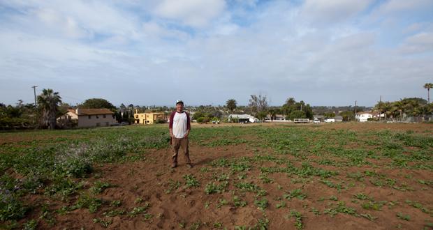 Luke+Girling+standing+in+the+middle+of+the+2.5+acres+of+farm+land+he+leased+in+south+Oceanside+for+Cyclops+Farms