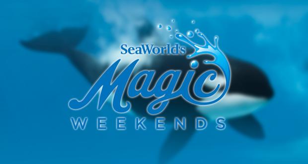 SeaWorld Has the Magic Touch