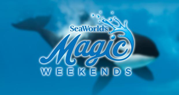 SeaWorld has the Magic Touch
