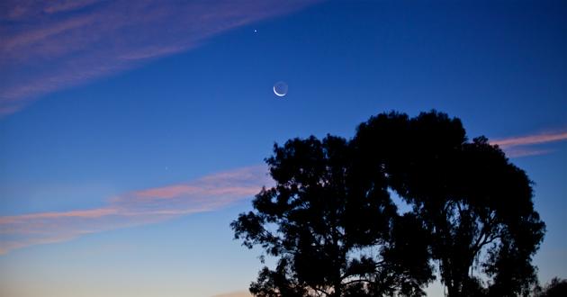 'Sliver of a Full Moon' a Portrayal of Resistance and Celebration