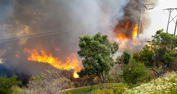 Carlsbad Marks One Year Since Poinsettia Fire