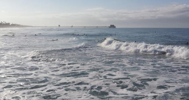 Shark Sighting off Oceanside Coast