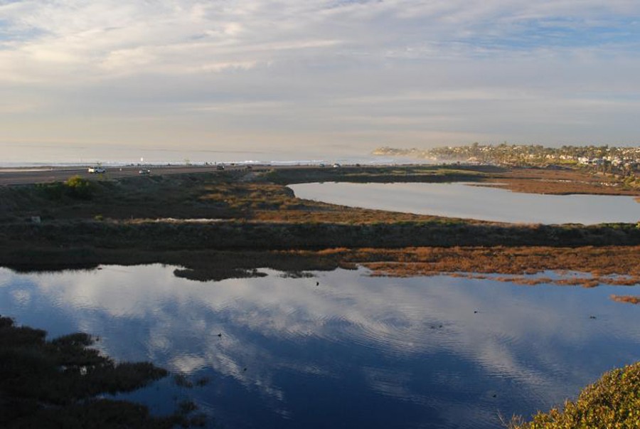 The San Elijo Lagoon is pictured in January looking north from the gateway of former settling ponds. (Courtesy photo by Janie DeCelles)