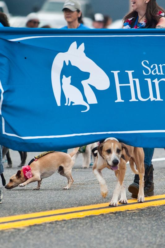 Snapshots of the Oceanside Independence Parade 2015
