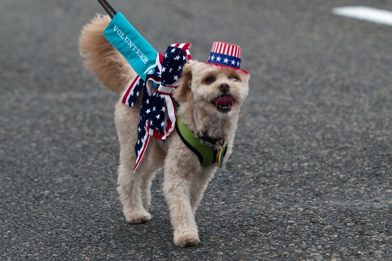 Snapshots of the Oceanside Independence Parade 2015