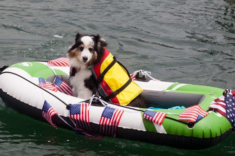 Yankee Doodle Dinghy Parade 2015