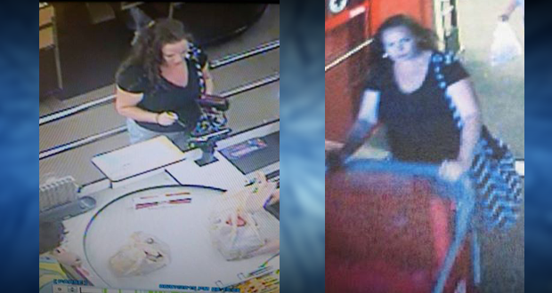 SDSO Seeks Assistance Locating Suspect who Stole from Bride During Wedding