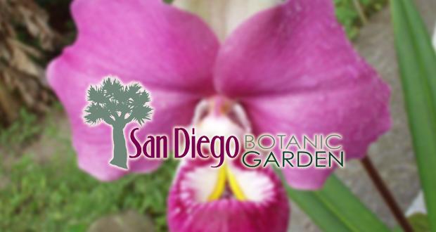 San Diego Botanic Garden Opens Month-long World of Orchids Show this Weekend