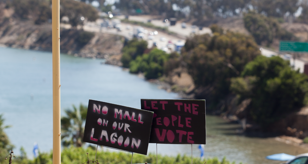 The Riehl World: Preserving Citizen-led Advocacy the Right Way