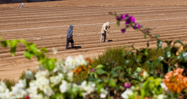 Inaugural San Diego Farm and Nursery Expo