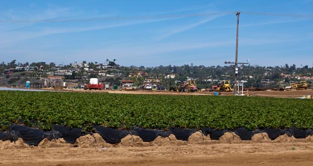 How to Get Carlsbad Measure A Election Results and What Happens Next