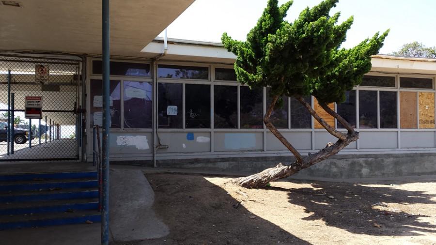 The former Pacific View school site in downtown Encinitas, pictured in late August, requires significant cleanup and restoration after years of neglect. (Photo by Susan Whaley)