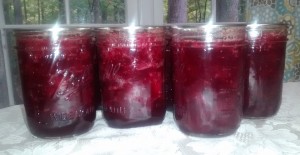 Home-canned cranberry sauce can be another holiday time-saver. (Photo by Laura Woolfrey Macklem)