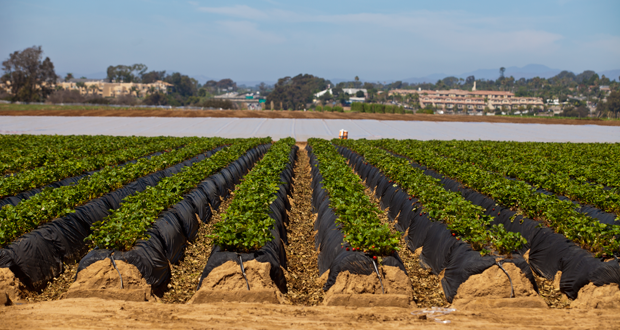 Carlsbad's 85/15 Election Set for February 23, 2016