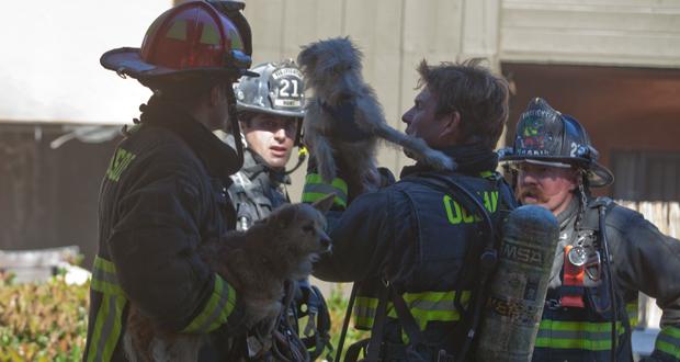 Oceanside Fire Captain, Tim Scott and Firefighter Chad Cox hold the two dogs that were rescued from the apartment
