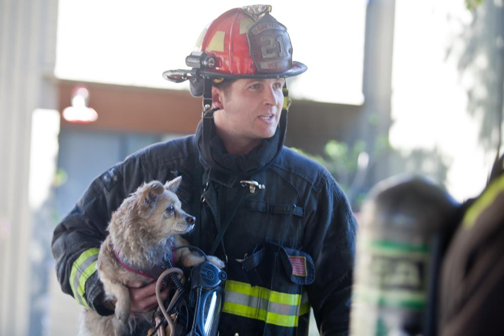 Two Dogs Rescued from Apartment Fire in Oceanside