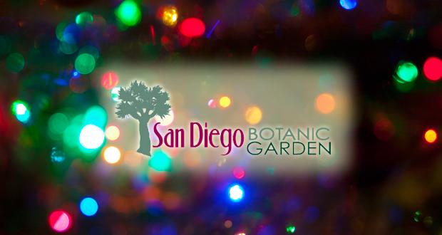 Garden of Lights at SD Botanic Garden