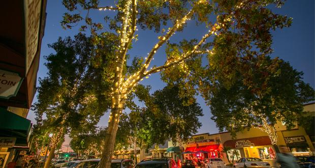 (Photo courtesy  City of Carlsbad)