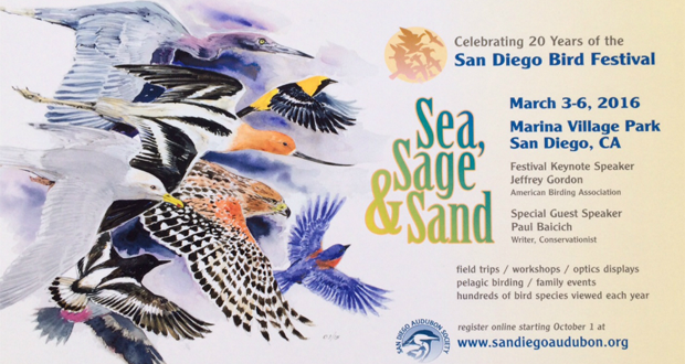 San Diego Audubon Announces 20th Annual Bird Festival, March 3-6