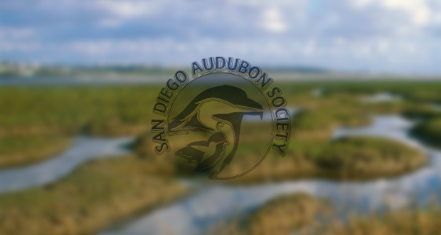 San Diego Audubon Expands Free Family Day on March 6