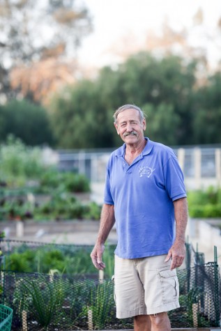 Encinitas Community Garden Vice President Doug Long surveys the grounds Feb. 12. (Photo by Jen Acosta)