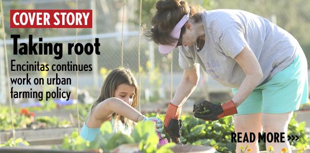 A family tends to a plot Feb. 12 at the Encinitas Community Garden. As the garden continues to develop, the city of Encinitas is still working on a more concrete urban farming policy. (Photo by Jen Acosta)