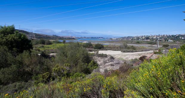 The+Riehl+World%3A+Carlsbad+Lagoon+Foundation+No+Friend+of+Nature
