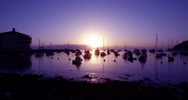 Avalon Harbor (Photo-Steve Marcotte)