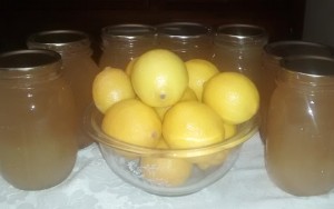 A bowl of lemons can yield home-canned lemonade that can be enjoyed throughout the season. (Photo by Laura Woolfrey Macklem)