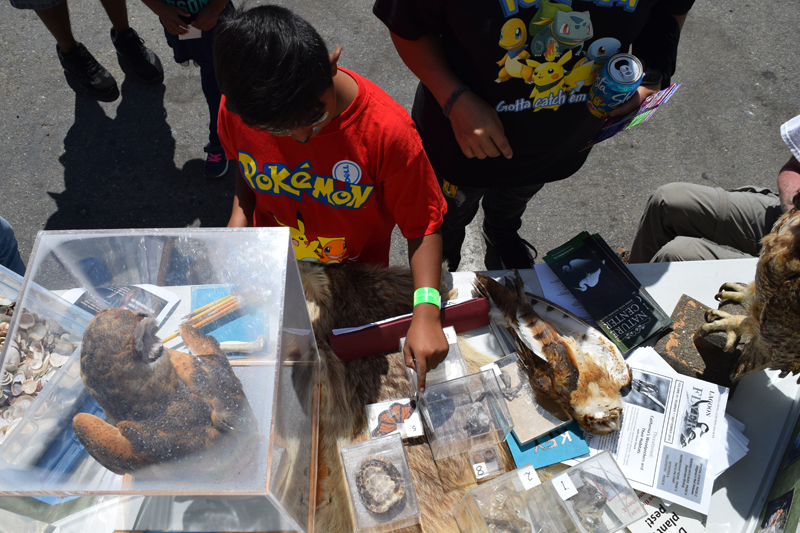 Boys+%26+Girls+Clubs+of+Oceanside+Free+Family+Fun+Day+-+Day+for+Kids+-+A+Huge+Success