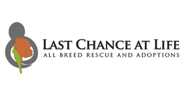 Last Chance at Life Launches Shoe Collection Drive