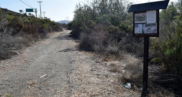Clean-up of Buena Vista Creek Ecological Reserve