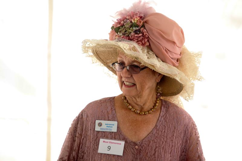 Snapshots from 'Afternoon Tea on the Plaza'