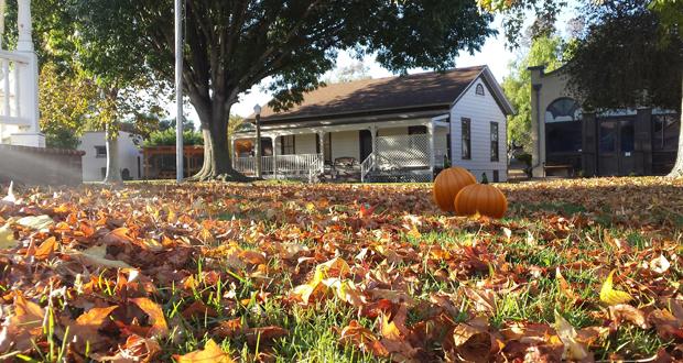 Heritage Park Fall Festival and Chili Cook Off-November 4