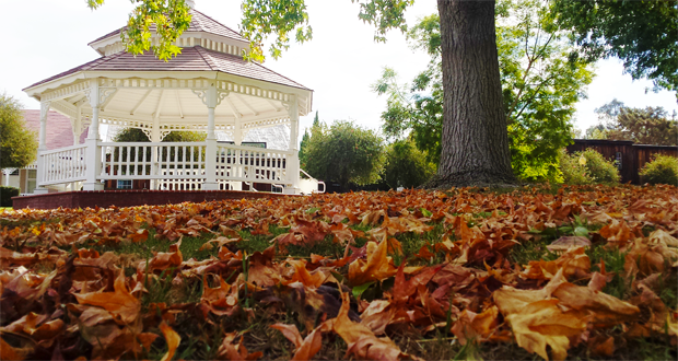 Heritage+Park+Fall+Festival+and+Chili+Cook-off-November+12