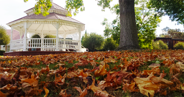 Heritage Park Fall Festival and Chili Cook-off-November 12