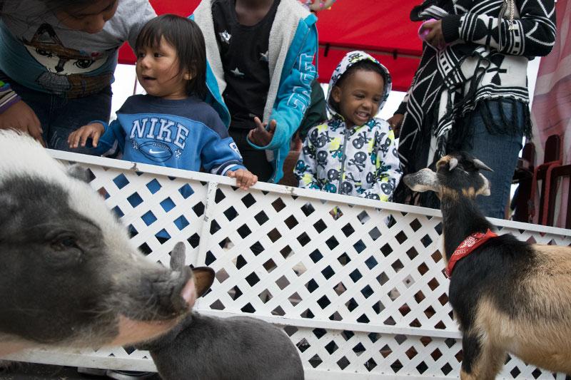 Snapshots from the Mission Marketplace Jingle Bell Jump-2016