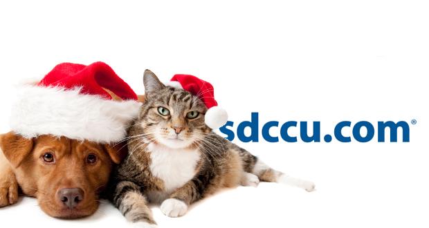 SDCCU Collects ‘Presents for Paws’ this Holiday Season